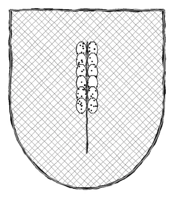 Arms of Tryner of the Lowfields